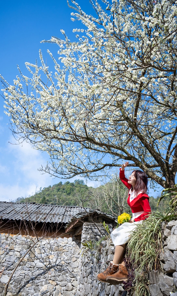 View - 	Spring in Lao Xa hamlet